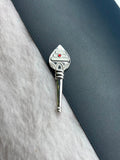 SILVER POCKET VEL -1