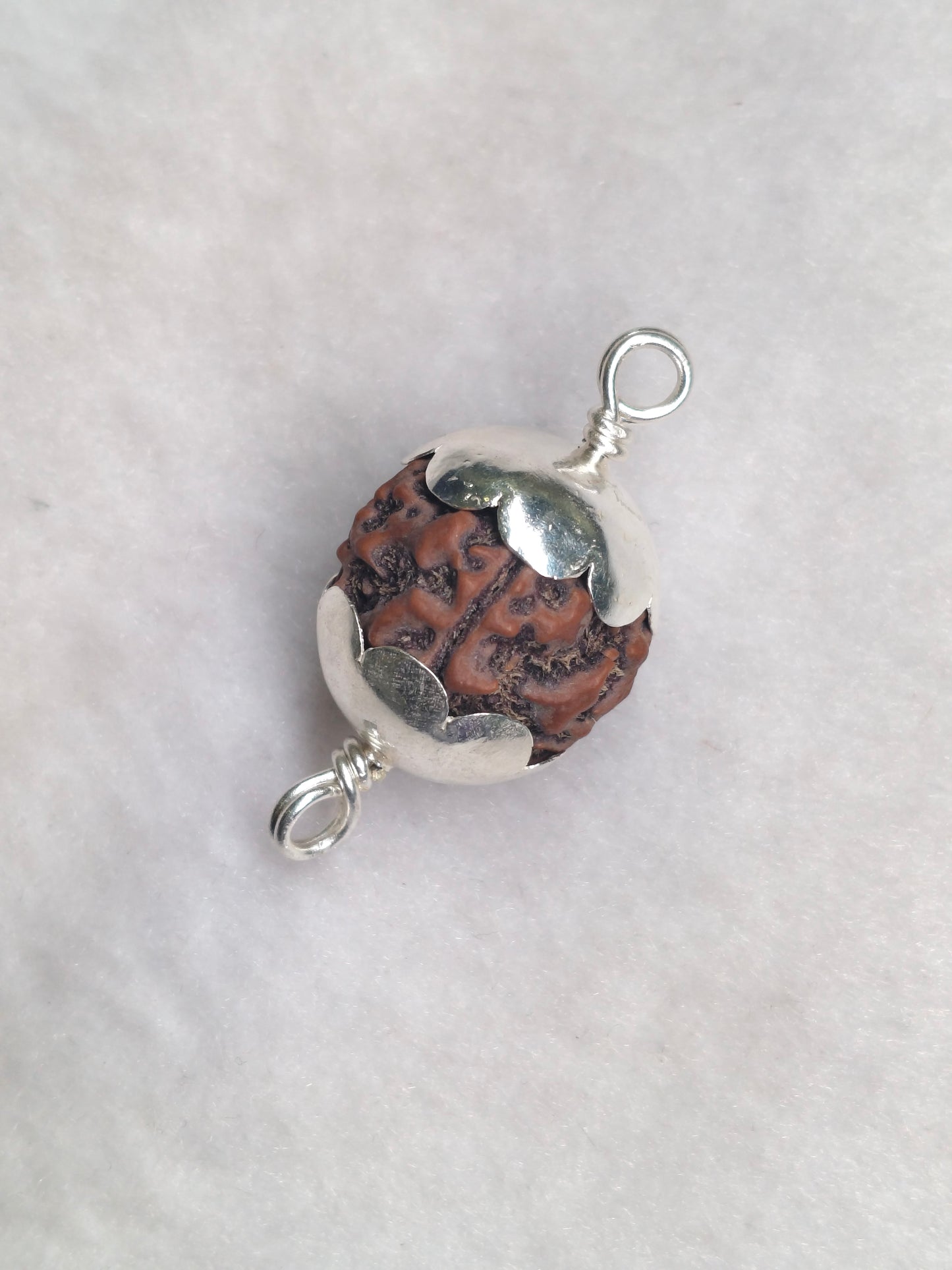 5 MUKHI RUDRAKSHA PENDANT – 92.5 SILVER