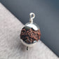 5 MUKHI RUDRAKSHA PENDANT – 92.5 SILVER