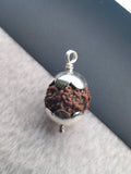 5 MUKHI RUDRAKSHA PENDANT – 92.5 SILVER