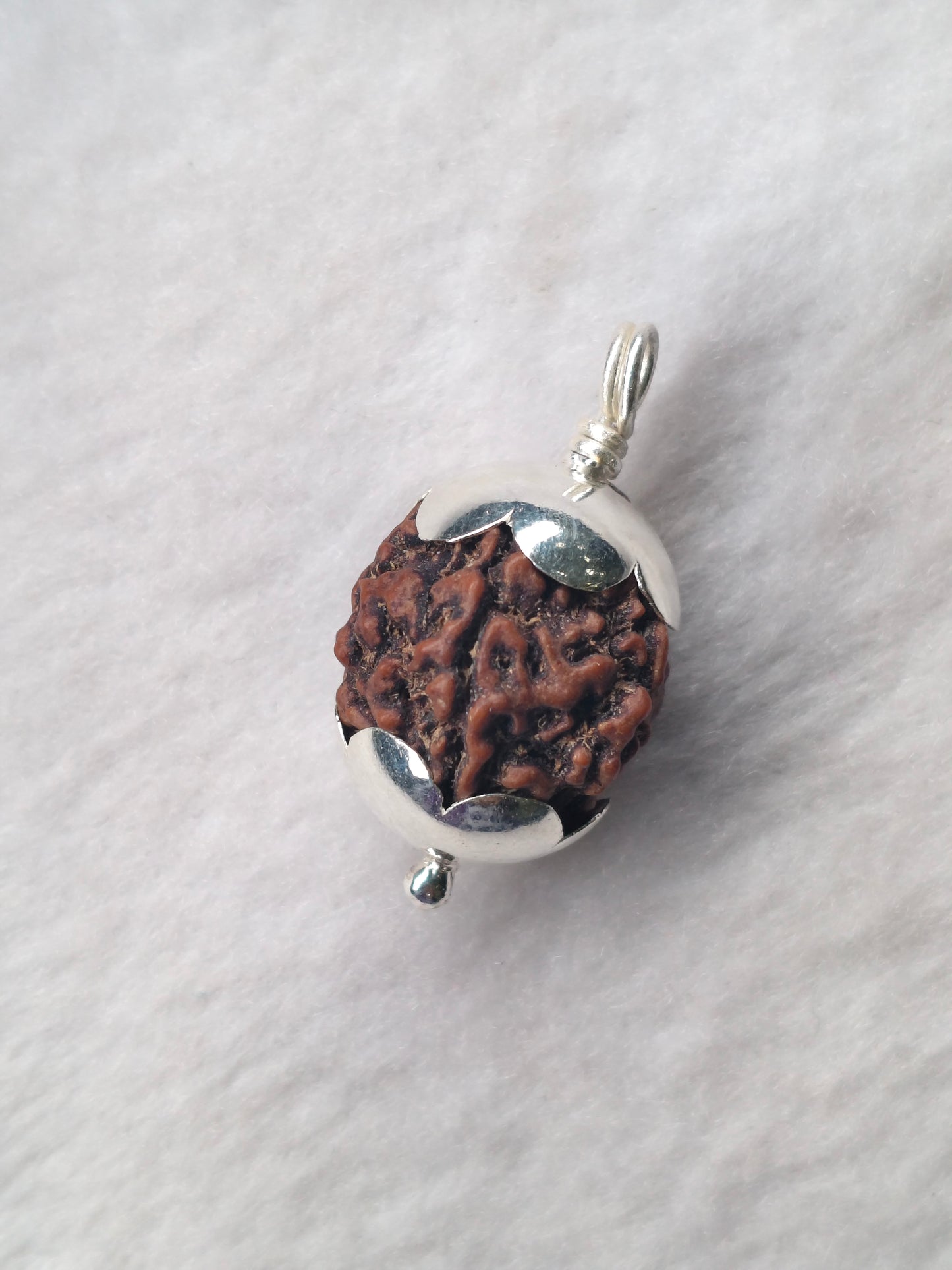 5 MUKHI RUDRAKSHA PENDANT – 92.5 SILVER