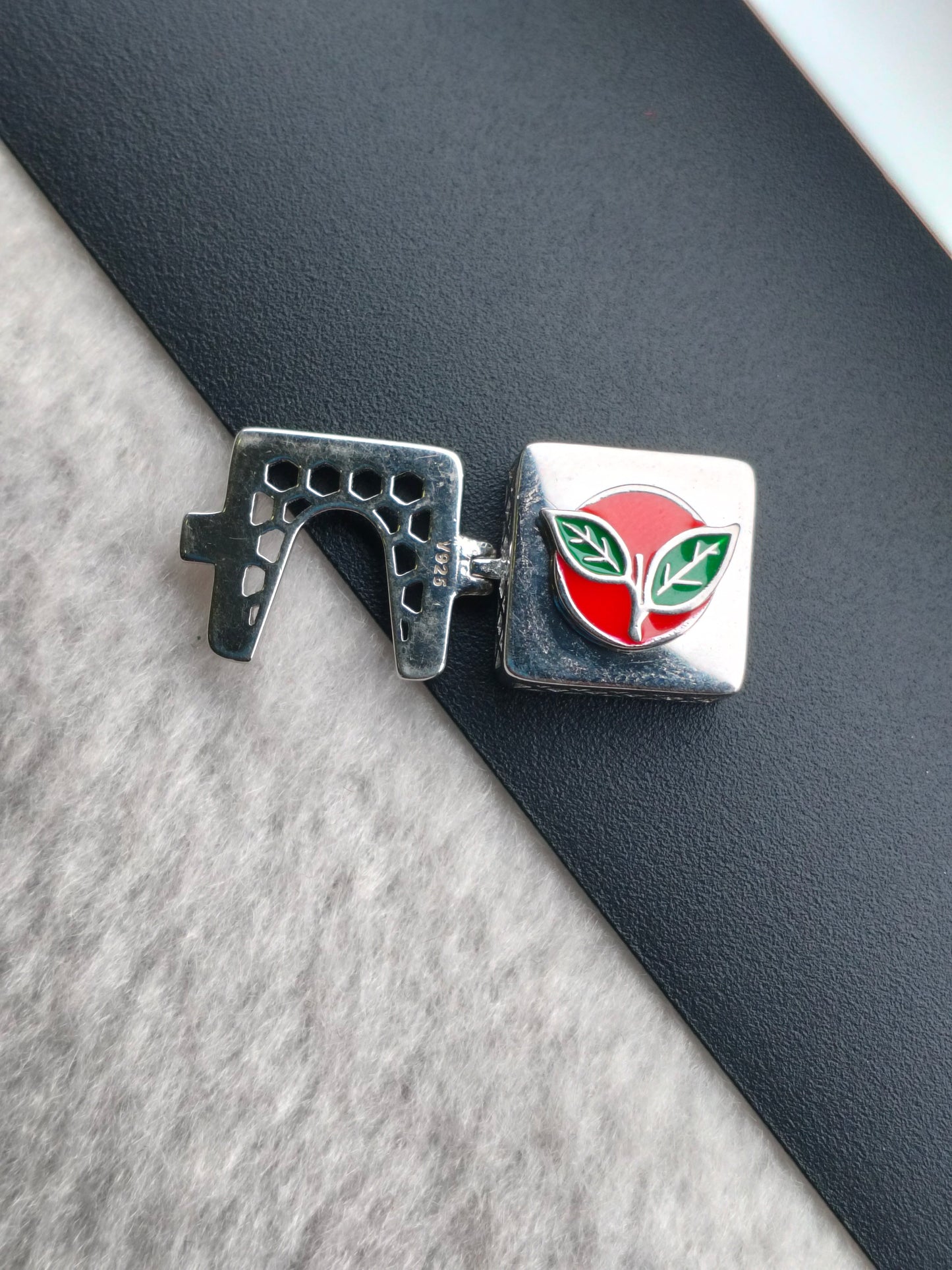 SILVER BUTTON HOLDER|AIADMK
